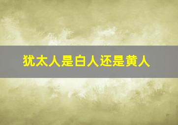 犹太人是白人还是黄人