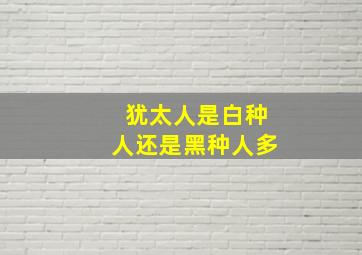 犹太人是白种人还是黑种人多