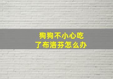 狗狗不小心吃了布洛芬怎么办