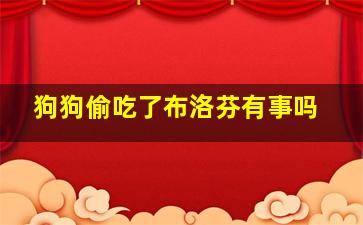 狗狗偷吃了布洛芬有事吗