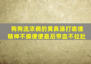 狗狗流浓稠的黄鼻涕打喷嚏精神不振便便最后带血不拉肚