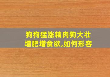 狗狗猛涨精肉狗大壮增肥增食欲,如何形容