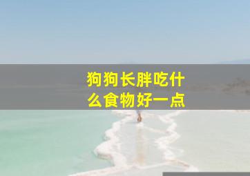 狗狗长胖吃什么食物好一点