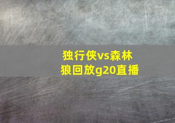 独行侠vs森林狼回放g20直播