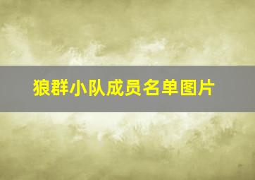 狼群小队成员名单图片