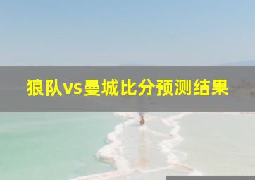 狼队vs曼城比分预测结果