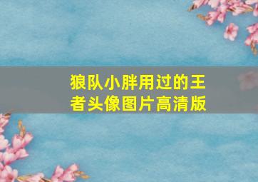 狼队小胖用过的王者头像图片高清版