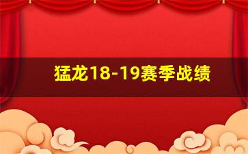 猛龙18-19赛季战绩