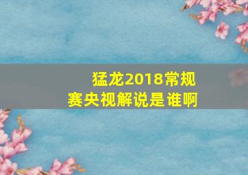 猛龙2018常规赛央视解说是谁啊