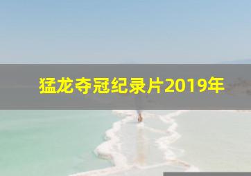 猛龙夺冠纪录片2019年