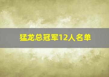 猛龙总冠军12人名单