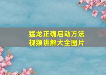 猛龙正确启动方法视频讲解大全图片