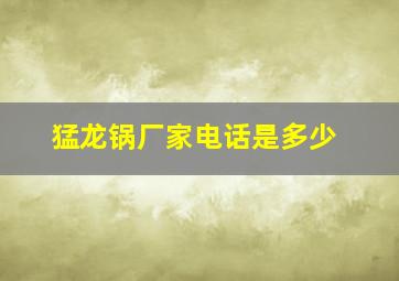 猛龙锅厂家电话是多少