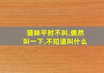 猫咪平时不叫,偶然叫一下,不知道叫什么