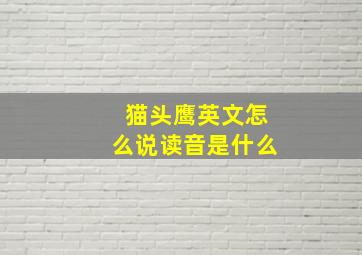 猫头鹰英文怎么说读音是什么