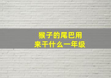 猴子的尾巴用来干什么一年级