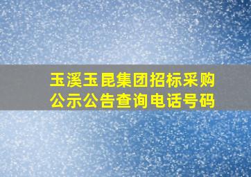 玉溪玉昆集团招标采购公示公告查询电话号码