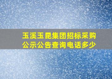 玉溪玉昆集团招标采购公示公告查询电话多少