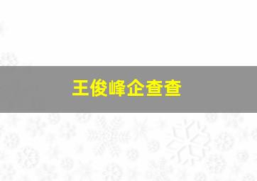 王俊峰企查查