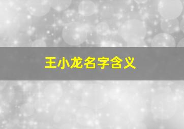 王小龙名字含义