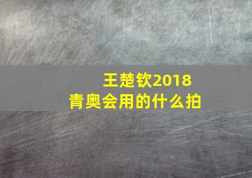 王楚钦2018青奥会用的什么拍