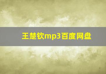 王楚钦mp3百度网盘