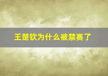 王楚钦为什么被禁赛了