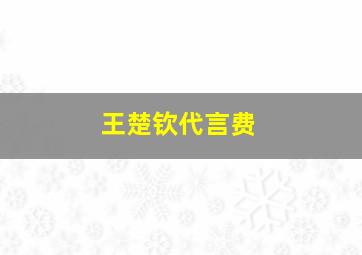 王楚钦代言费