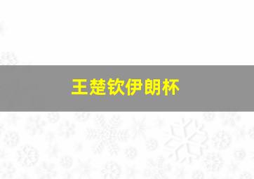 王楚钦伊朗杯