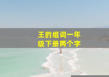 王的组词一年级下册两个字