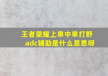 王者荣耀上单中单打野adc辅助是什么意思呀