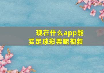 现在什么app能买足球彩票呢视频