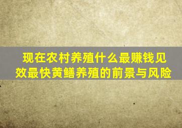 现在农村养殖什么最赚钱见效最快黄鳝养殖的前景与风险