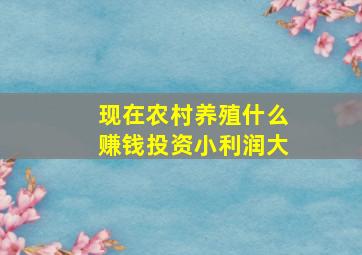 现在农村养殖什么赚钱投资小利润大