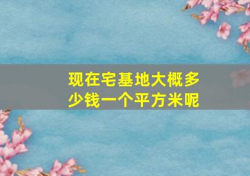 现在宅基地大概多少钱一个平方米呢