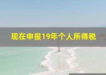 现在申报19年个人所得税