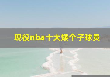 现役nba十大矮个子球员