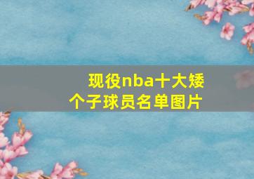 现役nba十大矮个子球员名单图片