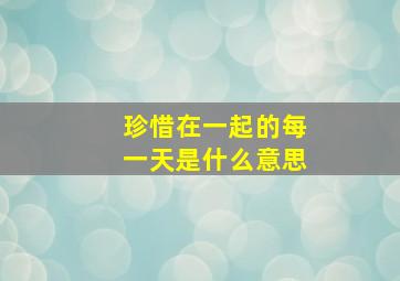 珍惜在一起的每一天是什么意思