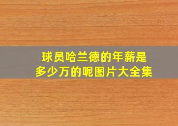 球员哈兰德的年薪是多少万的呢图片大全集