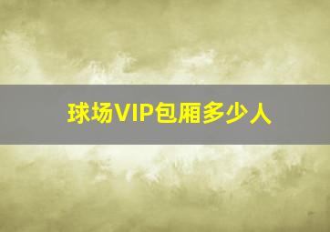 球场VIP包厢多少人