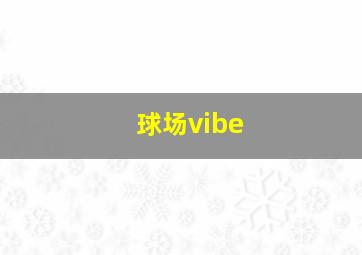 球场vibe