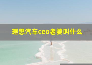 理想汽车ceo老婆叫什么