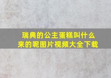 瑞典的公主蛋糕叫什么来的呢图片视频大全下载