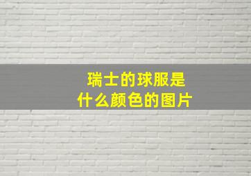 瑞士的球服是什么颜色的图片