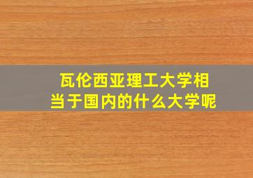 瓦伦西亚理工大学相当于国内的什么大学呢