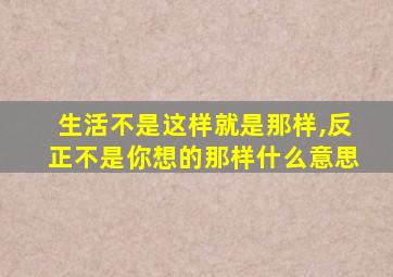 生活不是这样就是那样,反正不是你想的那样什么意思