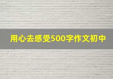 用心去感受500字作文初中