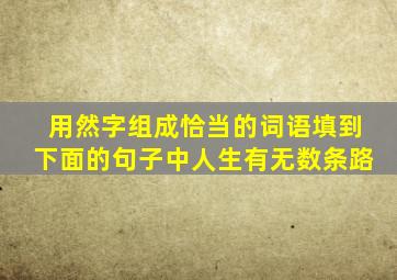 用然字组成恰当的词语填到下面的句子中人生有无数条路