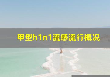 甲型h1n1流感流行概况